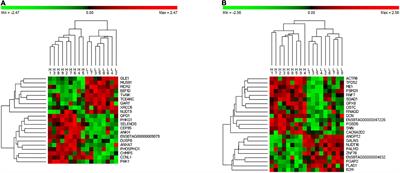 Identification of Predictor Genes for Feed Efficiency in Beef Cattle by Applying Machine Learning Methods to Multi-Tissue Transcriptome Data